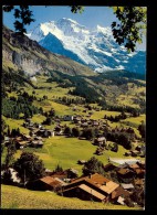 Carte Postale SUISSE  WENGEN  16 - Wengen