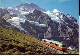 Carte Postale SUISSE  WENGEN TRAIN 25 - Wengen