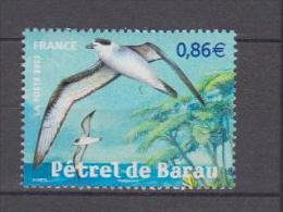 France YV 4036 N 2007 Pétrel - Albatrosse & Sturmvögel