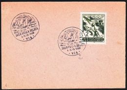 Yugoslavia 1950, Card "Adriatic Regatta"  W./special Postmark "Vis", Ref.bbzg - Briefe U. Dokumente