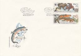 Czechoslovakia / First Day Cover (1989/10 A, B), Praha - Theme: Nature Conservation - Amphibians (WWF) - Storia Postale