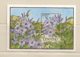 LESOTHO  ( AFLES - 3 )  1993   N° YVERT ET TELLIER   BLOC  N° 104  N** - Lesotho (1966-...)