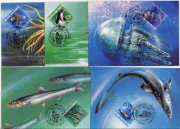 SOVIET UNION 1991 Marine Fauna Set On 5 Maxicards.  Michel 6158-62 - Maximum Cards