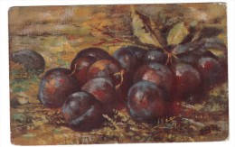 Fruits - Prunes - Arbres