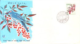 Japan First Day Cover - 20.02.1962 - Buste