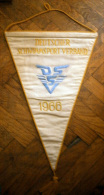 SWIMMING - DEUTSCHER SCHWIMMSPORT - VERBAND 1966.  Embroidered FLAG / Pennant - Schwimmen