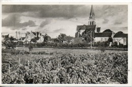 49. Tiercé. Vue Partielle Du Bourg - Tierce