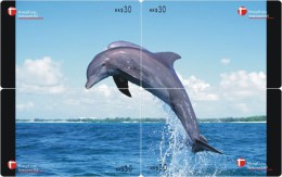 D04002 China Phone Cards Dolphin Puzzle 20pcs - Delfines