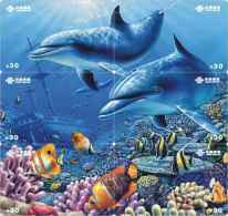 D04006 China Phone Cards Dolphin Puzzle 30pcs - Dauphins