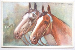 CPA RARE Litho Illustrateur Corbella Duo Tete Cheval Chevaux Harnais Stampa 237 - Corbella, T.