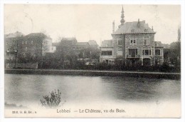 27840  -    Lobbes  Le  Château  Vu  Du  Bois - Lobbes