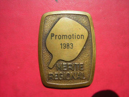 MEDAILLE  / PLAQUE BRONZE PROMOTION 1983  MERITE REGIONAL - Professionals / Firms