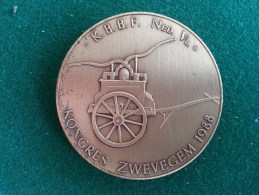 Brandweer, K.B.B.F. Ned. Vl. Kongres Zwevegem, 1988, 33 Gram (medailles0221) - Otros & Sin Clasificación