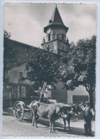 AINHOA - UN ATTELAGE BASQUE DEVANT L'EGLISE ( Gros Plan ) - Ainhoa