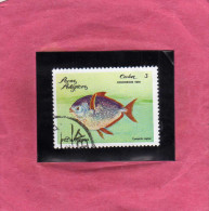 CUBA 1981  FAUNA Animals Fishes MARIPOSA PEZ FISH ANIMALI PESCI PESCE FARFALLA USATO USED - Oblitérés