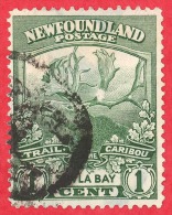 Newfoundland # 115 - 1 Cent - O- Dated 1919 - Suvla Bay/  Baie Suvla - 1908-1947