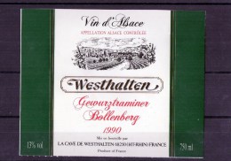 GEWURTZTRAMINER - (Etiquette Collée Sur Page Expo) Bollenberg - Gewurztraminer