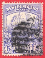 Newfoundland # 119 - 5 Cents - O- Dated 1919 - Ubique/  Ubique - 1908-1947