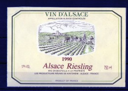 RIESLING- (Etiquette Collée Sur Feuille D´expo) 1990 - Riesling