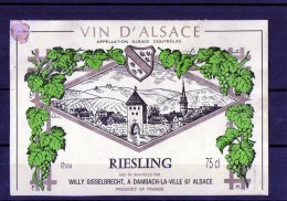 RIESLING- (Etiquette Collée Sur Feuille D´expo) Willy Gisselbrech - Riesling