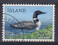 Iceland 1967 Mi. 408       20 Kr Bird Vogel Oiseau Eistaucher (Gavla Immer) - Gebraucht