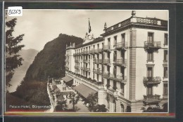 BÜRGENSTOCK - PALACE HOTEL -TB - Autres & Non Classés