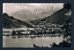 (493) AK Alpsee Mit Blick Auf Immenstadt - Immenstadt