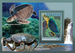 Grenada-Fauna-Turtles - Turtles