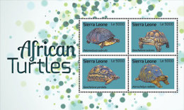 Sierra Leone-2013-Turtles - Schildpadden