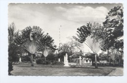 Cayenne. Entrée Du Jardin Vu De L'intérieur. - Cayenne