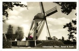 Valkenswaard Molen - Borkel & Schaft - & Windmill - Valkenswaard