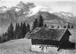 Charme Et Splendeurs De Villars Les Dents Du Midi Et Les Dents Blanches Bon Etat - Villars-les-Moines