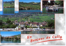 Suisse : Un Bonjour De Cully - Multivues - Cully