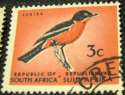 South Africa 1961 Shrike 3c - Used - Used Stamps