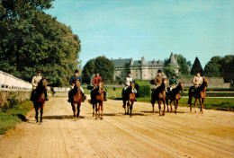 CPM POMPADOUR  , Apprentis Montant Les Poulains Du Haras - Arnac Pompadour