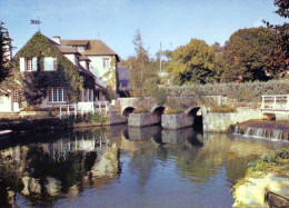 CPM Chatillon Coligny - Chatillon Coligny