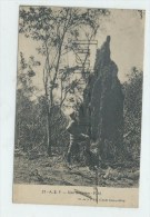 République Centrafricaine Ou Centrafrique : GP D'un Prospecteur Devant Une Termitière 2ème Expédition Citroen 1910 PF. . - Centrafricaine (République)