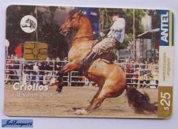 TC 386a URUGUAY. CABALLOS CRIOLLOS, FRENO DE ORO. Chevaux Créoles, Frein GOLD.Creole Horses, BRAKE GOLD. - Uruguay