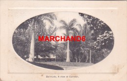 Delcampe - Bermudes Bermuda A View At Camden éditeur J H Bradley Hamilton - Bermuda