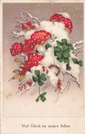 CPA, HORSESHOE AND MUSHROOMS,  NEWYEAR CARD, UNUSED - Mushrooms