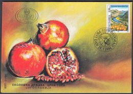 Yugoslavia 1994, FDC Cover "Environmental Protection In Montenegro", Ref.bbzg - FDC