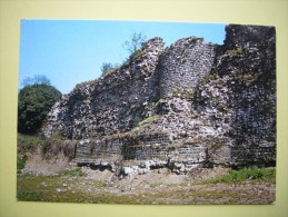 CPM  BAVAY - 59 - Site Archéologique - Le Mur De L´enceinte - Nord - Bavay