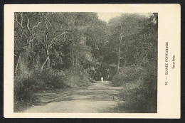 GUINÉ GUINÉE PORTUGAISE (Guinea Bissau) - Sous-bois - Guinea Bissau