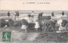 Le Tréport   76   Récolte Des Moules - Le Treport