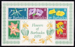 Barbados MNH Scott #352a Souvenir Sheet Of 5 Flowers -  Lily, Minnie Root, Orchid, Pride Of Barbados, Christmas Hope - Barbados (1966-...)