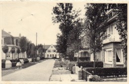 Belgique Coq Sur Mer Avenue Peter Benoit - De Haan