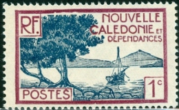 NUOVA CALEDONIA, NEW CALEDONIA, FRENCH TERRITORY, 1928, FRANCOBOLLO NUOVO (MNG),  Mi 136, Scott 136 YT 139 - Neufs