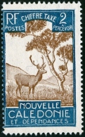 NUOVA CALEDONIA, NEW CALEDONIA, FRENCH TERRITORY, 1928, FRANCOBOLLO NUOVO (MNG) - Unused Stamps