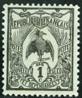 NUOVA CALEDONIA, NEW CALEDONIA, FRENCH TERRITORY, 1905, FRANCOBOLLO NUOVO (MNG), Mi 85, Scott 88, YT 88 - Unused Stamps