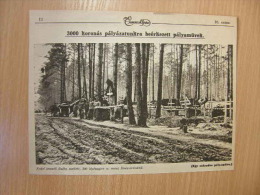 Forest Cemetery - Taras Bulba - Ukraine ?  Austro-Hungarian Army-    WWI-grande Guerre 1916-18 -   W82 - Autres & Non Classés